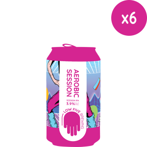 Aerobic Session Sixpack | Low Five Brewing